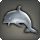 Dolphin Calf