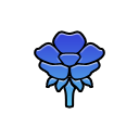 Blue Lotus