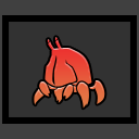 Hermit Crab