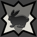 Dark Rabbit Company