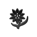 Black Lotus